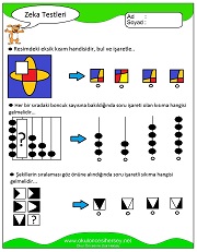 Zeka Gelişim Testleri